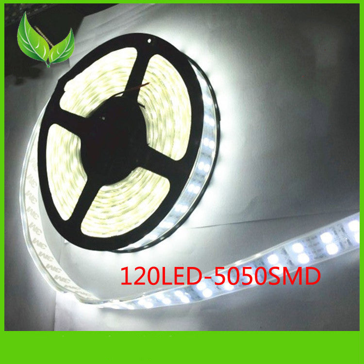 12V Double Row 120 Lights 5050 LED Strip Per Meter